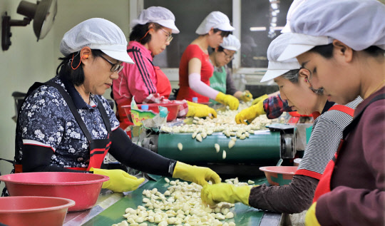 한국농수산식품유통공사(aT)는 2019년산 정부 비축 마늘의 수출을 처음으로 추진한다고 25일 밝혔다.   <사진제공=aT>